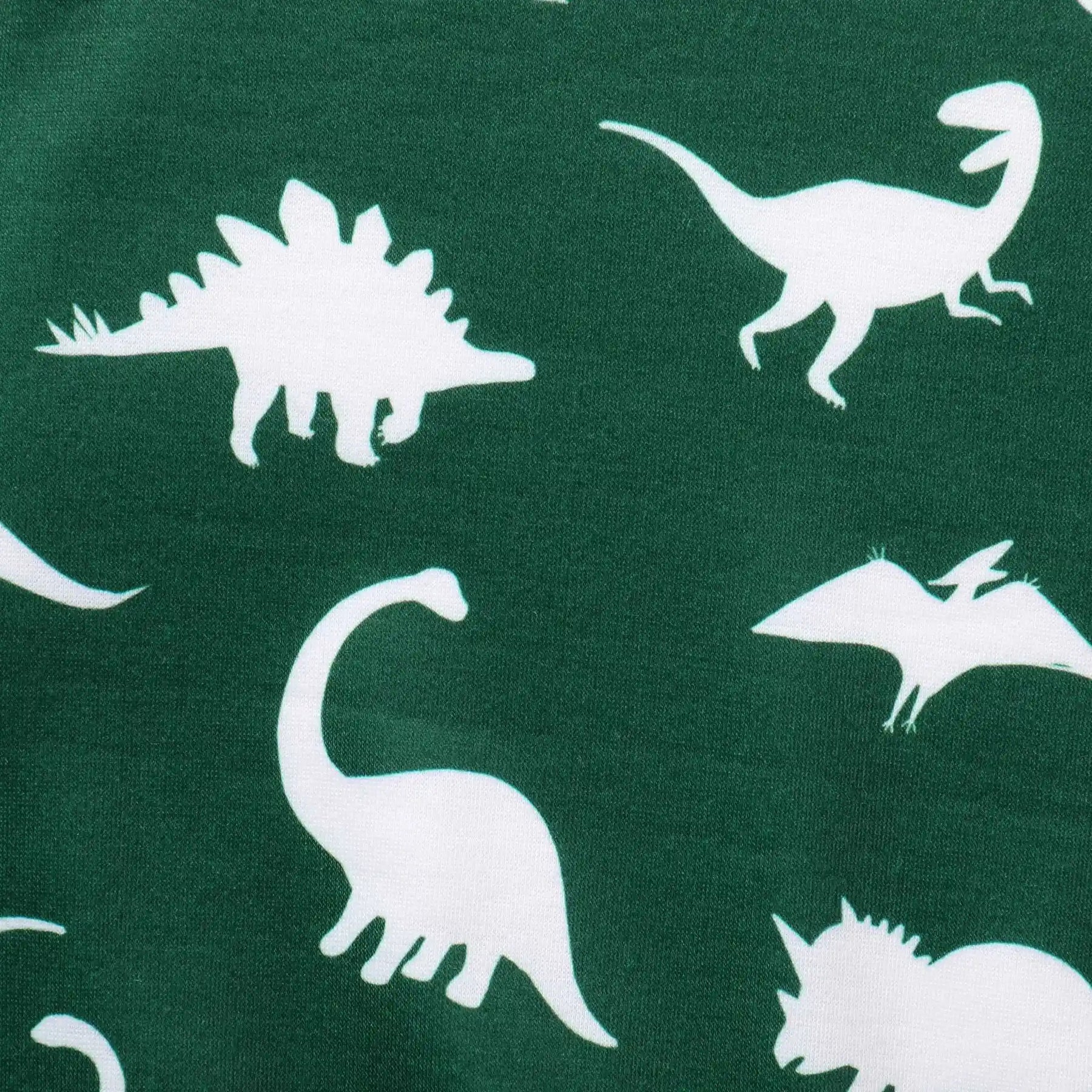 Baby Boy Casual Dinosaur Print Set