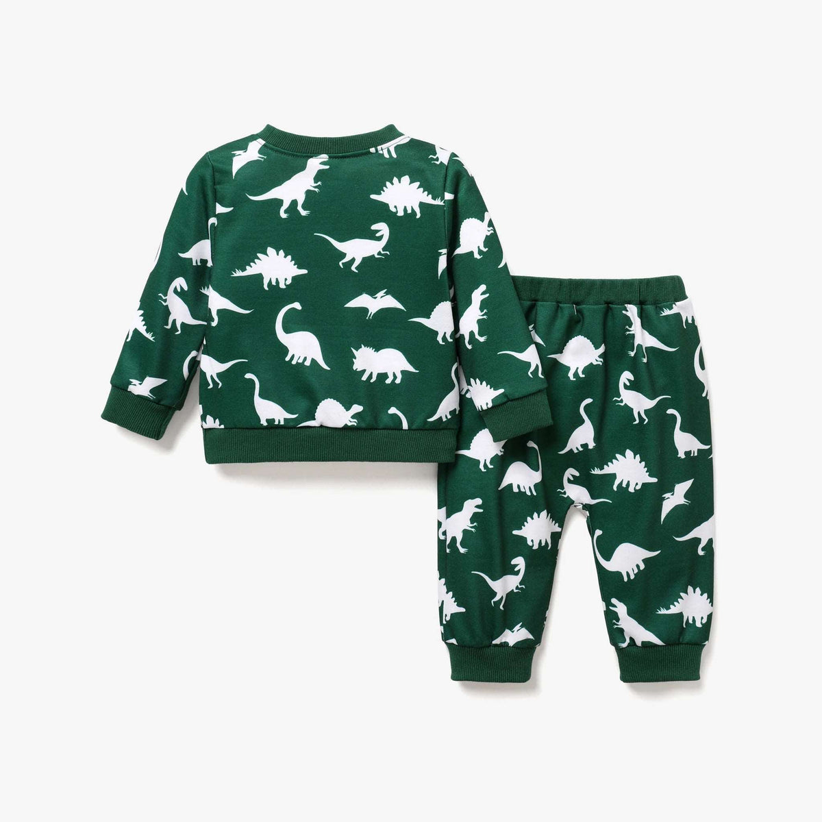 Baby Boy Casual Dinosaur Print Set